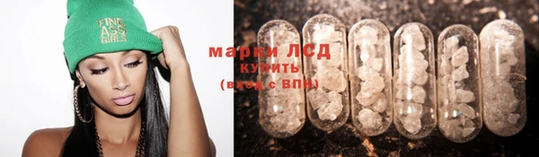 мескалин Богданович