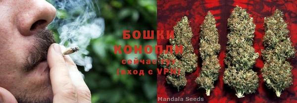 мескалин Богданович