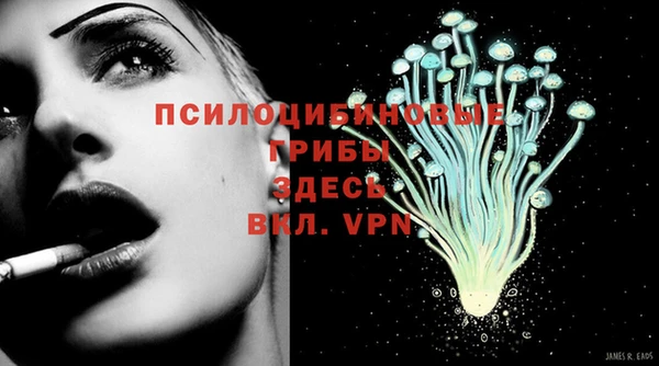 мескалин Богданович