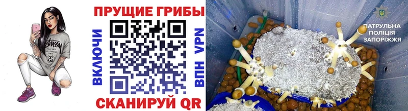 Псилоцибиновые грибы Psilocybine cubensis  hydra рабочий сайт  Верхотурье 